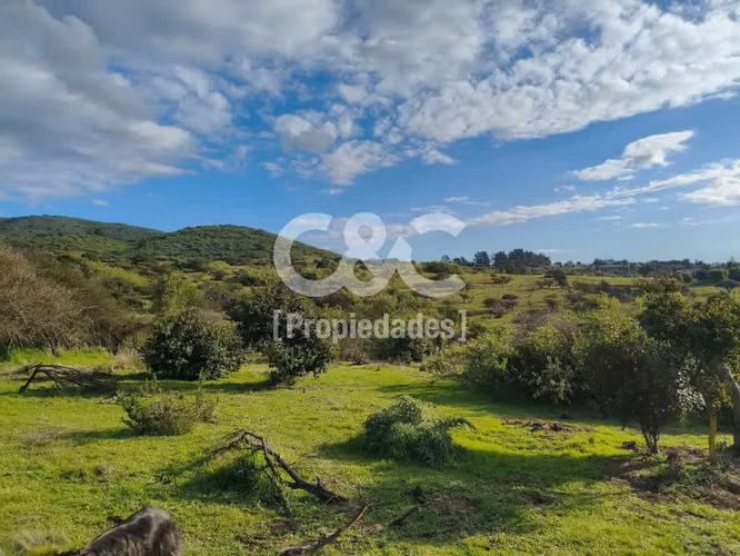 1/2 Há En Valle Alegre Con Maravillosa Vegetación