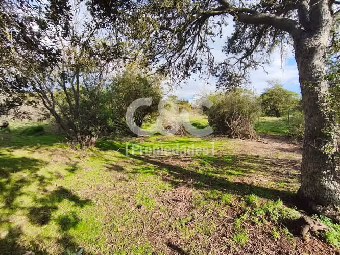 1/2 Há En Valle Alegre Con Maravillosa Vegetación