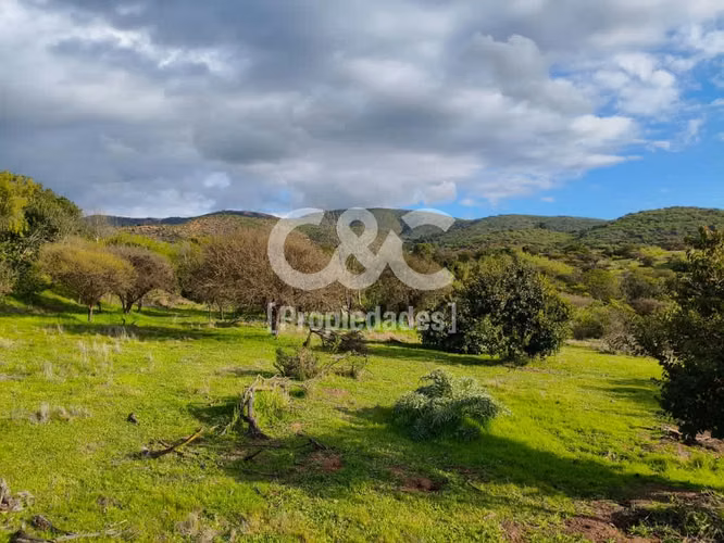1/2 Há En Valle Alegre Con Maravillosa Vegetación