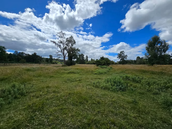 Venta de Parcelas – Sector Folilco, Región de Los Ríos