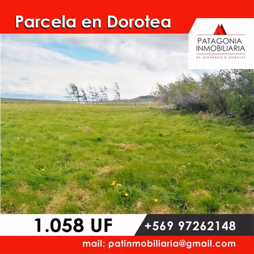 PARCELA EN DOROTEA NATALES