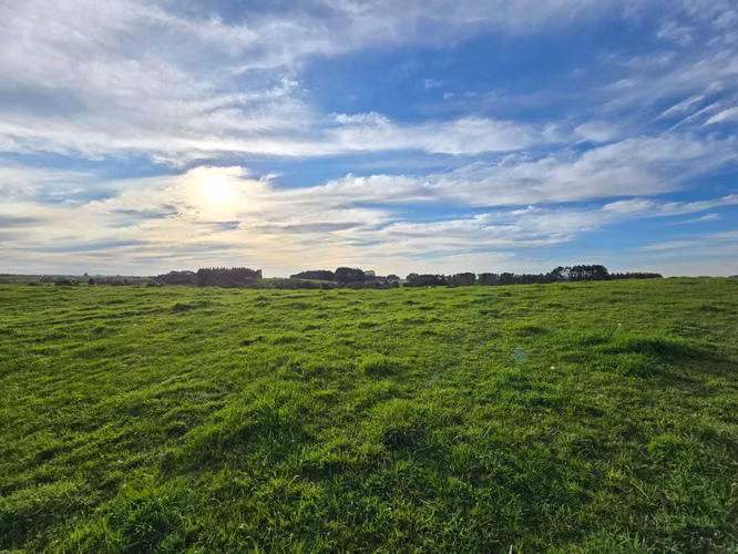 PARCELA CON VISTA (138373)