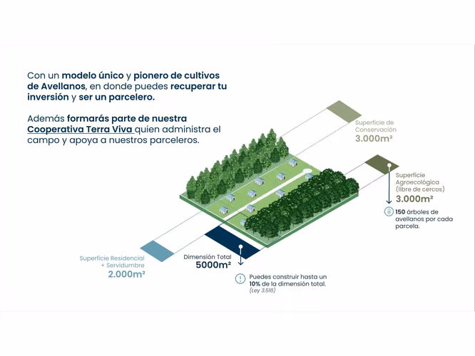 Parcela en venta con agua, luz aerea y amplios caminos en FRUTILLAR