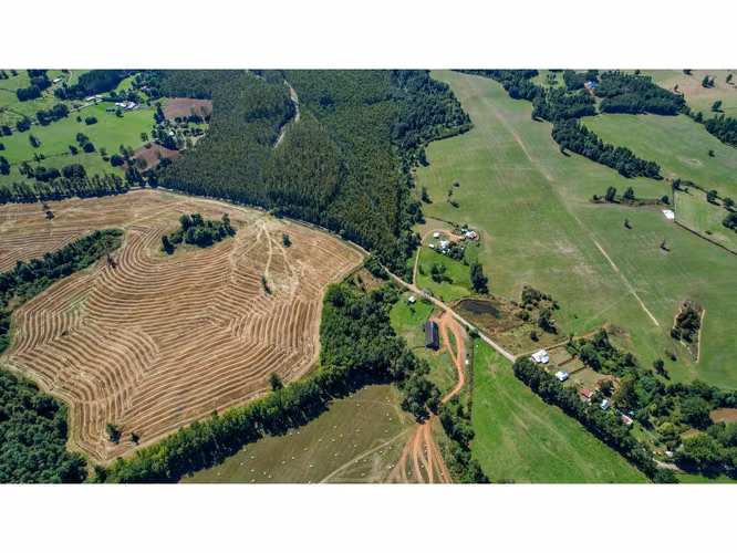 Parcela en venta con agua, luz aerea y amplios caminos en FRUTILLAR