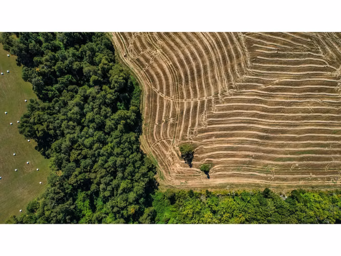 Parcela en venta con agua, luz aerea y amplios caminos en FRUTILLAR