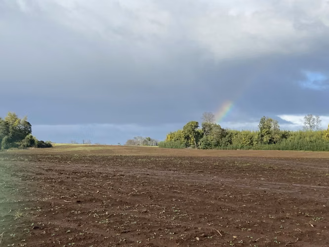 Parcela en venta con agua, luz aerea y amplios caminos en FRUTILLAR