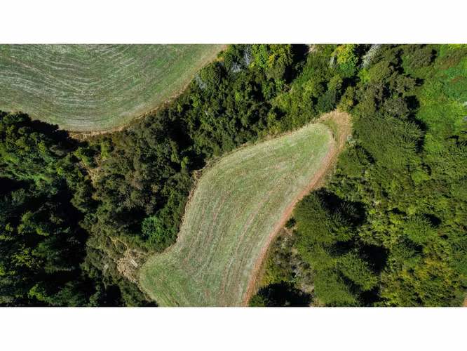 Parcela en venta con agua, luz aerea y amplios caminos en FRUTILLAR