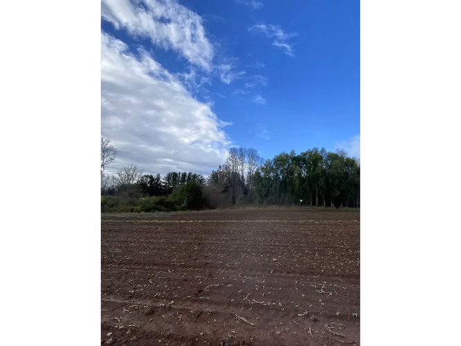 Parcela en venta con agua, luz aerea y amplios caminos en FRUTILLAR