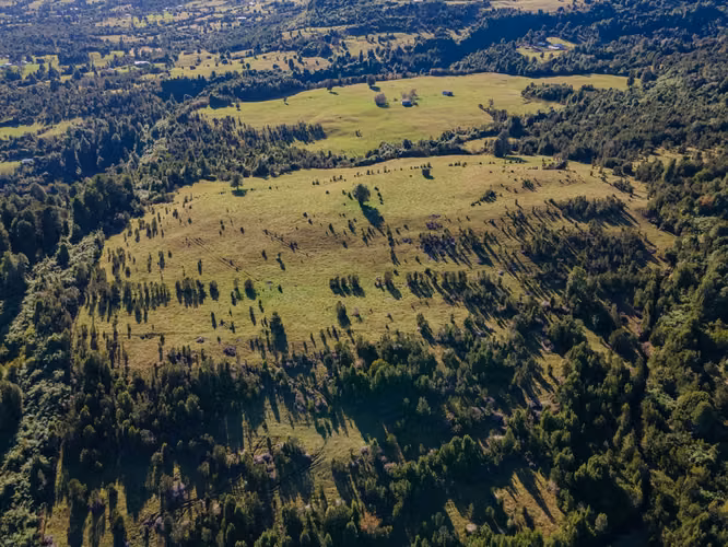 Paisajes del Rupanco, parcelas de 5.000 m2