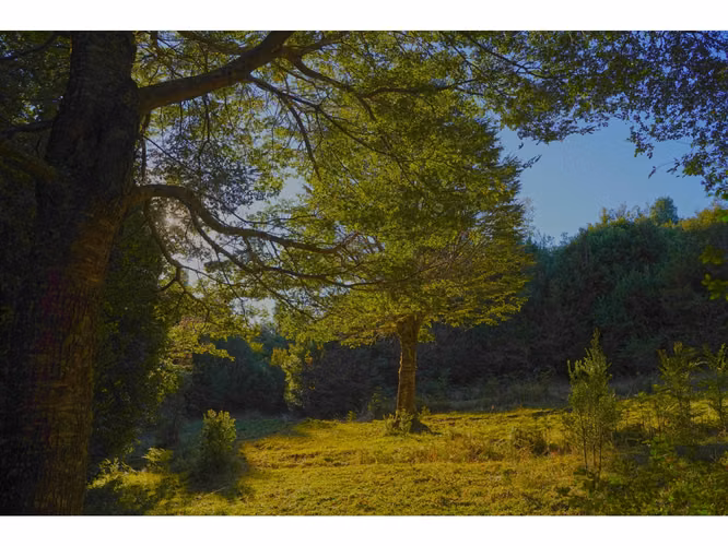 Paisajes del Rupanco, parcelas de 5.000 m2