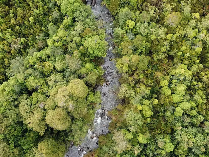 EN VENTA TERRENO 8,1 HAS CON ORILLA DE RÍO, Lago Caro, Coyhaique AYSÉN