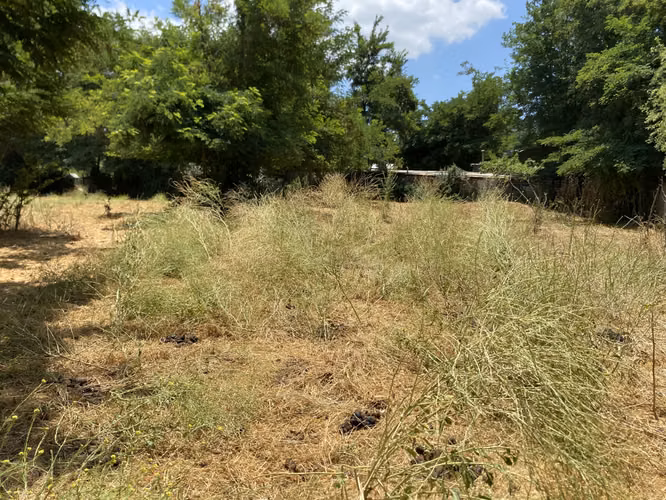 VENDE TERRENO 7.930 M2, ROL PROPIO, LAGUNA ACULEO - PAINE