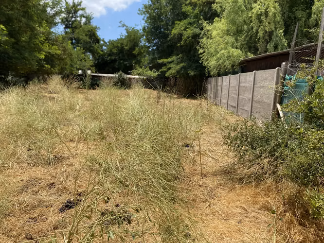 VENDE TERRENO 7.930 M2, ROL PROPIO, LAGUNA ACULEO - PAINE