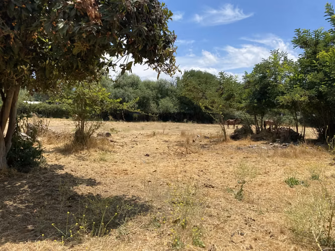 VENDE TERRENO 7.930 M2, ROL PROPIO, LAGUNA ACULEO - PAINE