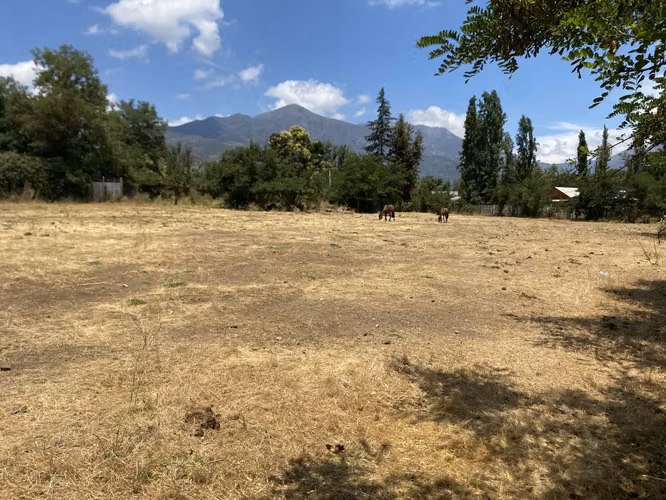 VENDE TERRENO 7.930 M2, ROL PROPIO, LAGUNA ACULEO - PAINE