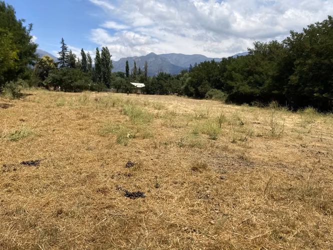 VENDE TERRENO 7.930 M2, ROL PROPIO, LAGUNA ACULEO - PAINE