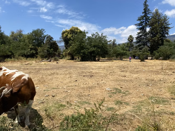 VENDE TERRENO 7.930 M2, ROL PROPIO, LAGUNA ACULEO - PAINE