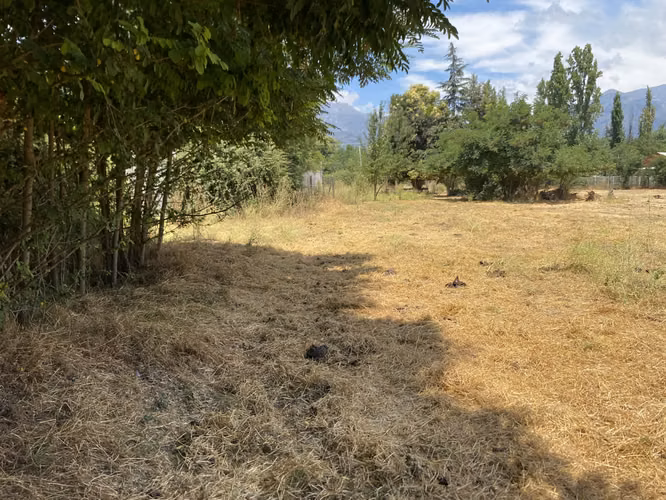 VENDE TERRENO 7.930 M2, ROL PROPIO, LAGUNA ACULEO - PAINE
