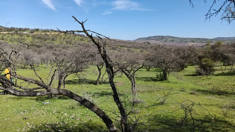 Parcelas En Venta Lago Rapel
