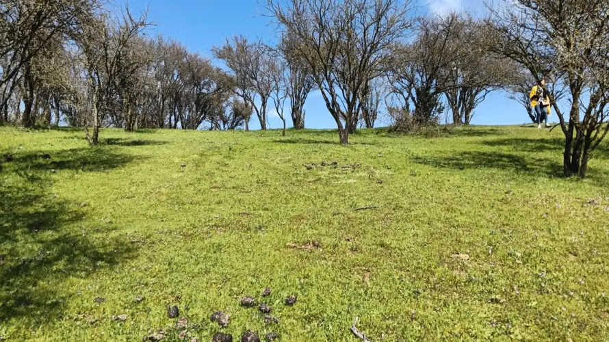 Parcelas En Venta Lago Rapel