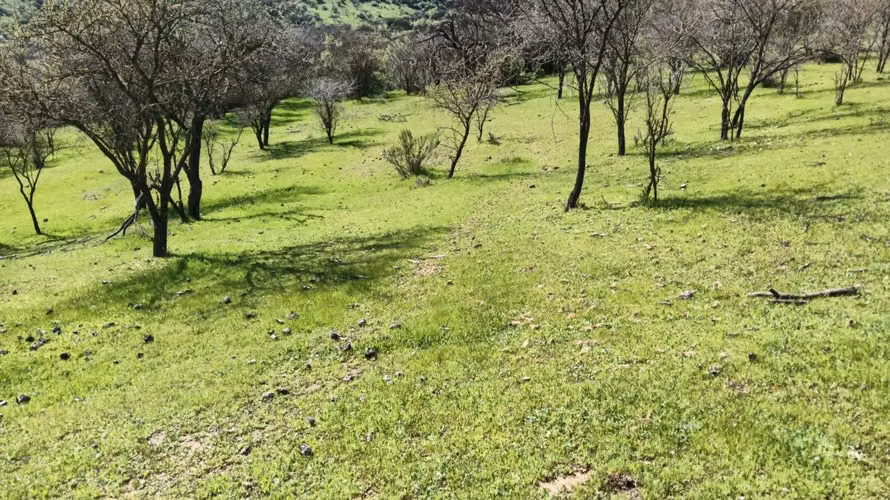 Parcelas En Venta Lago Rapel