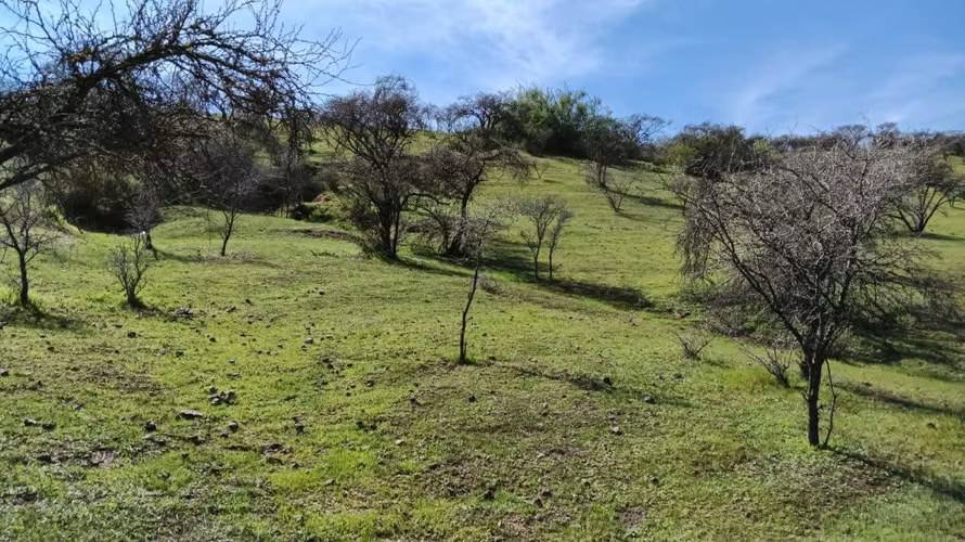 Parcelas En Venta Lago Rapel
