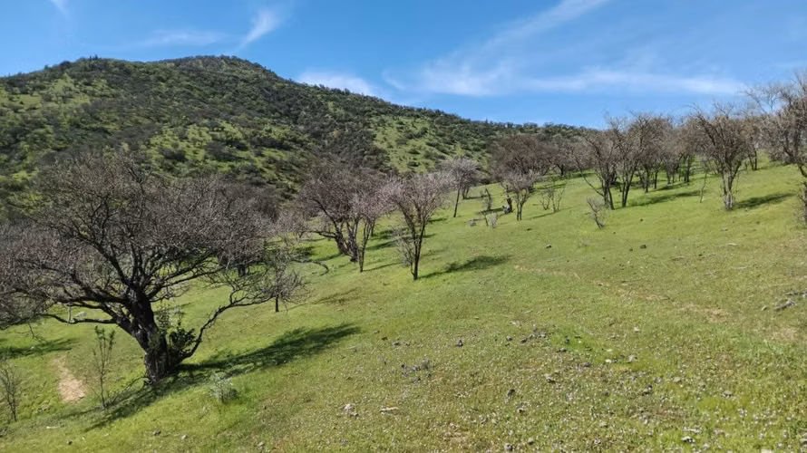 Parcelas En Venta Lago Rapel