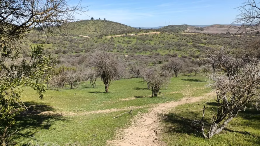 Parcelas En Venta Lago Rapel