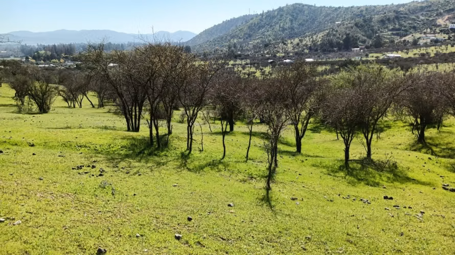Parcelas En Venta Lago Rapel