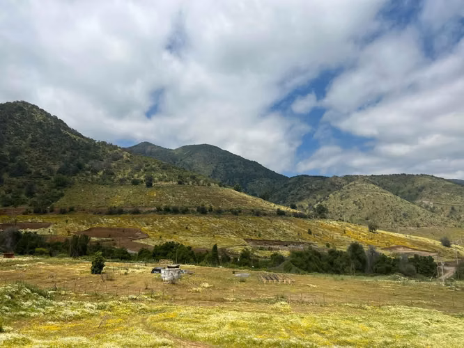 Parcelas En Venta Reserva Pimpinela - Imagen 4