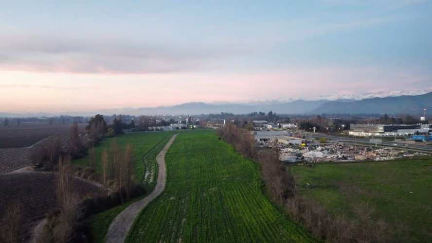 Se Venden Parcelas  Agroindustrial En Panamericana 5 Sur - Imagen 4