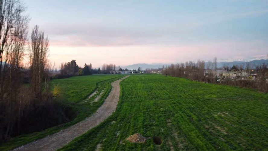 Se Venden Parcelas  Agroindustrial En Panamericana 5 Sur - Imagen 5