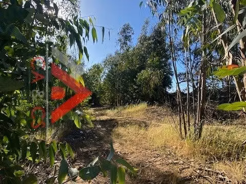 5.000 MT2 EN EL SECTOR DE EL PANGAL DE PUCHUNCAVI, 3 lotes de 5.000 mt2
