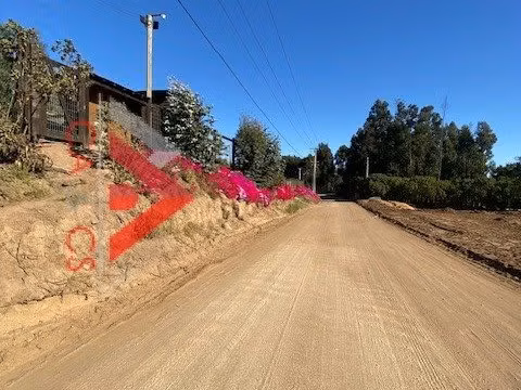 5.000 MT2 EN EL SECTOR DE EL PANGAL DE PUCHUNCAVI, 3 lotes de 5.000 mt2