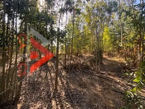5.000 MT2 EN EL SECTOR DE EL PANGAL DE PUCHUNCAVI, 3 lotes de 5.000 mt2