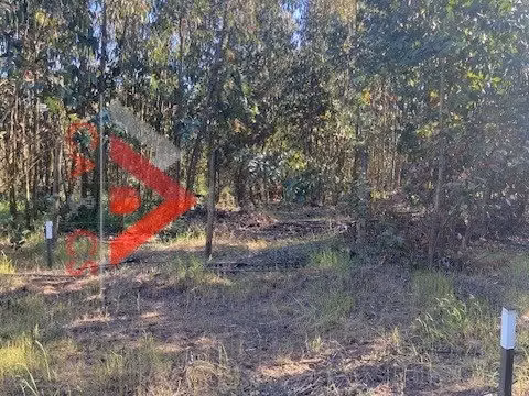 5.000 MT2 EN EL SECTOR DE EL PANGAL DE PUCHUNCAVI, 3 lotes de 5.000 mt2