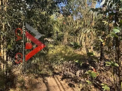 5.000 MT2 EN EL SECTOR DE EL PANGAL DE PUCHUNCAVI, 3 lotes de 5.000 mt2