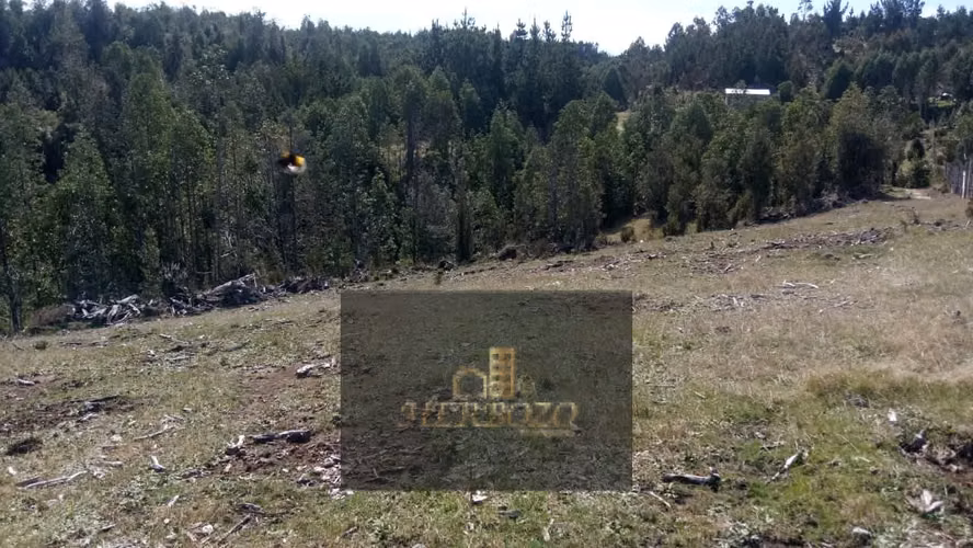 Parcela en Venta Carahue sector Mate Sanchez