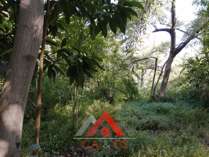 TERRENO DE 8777 MT2 CON CASA QUINTA PARA DEMOLER O REESTRUCTURAR