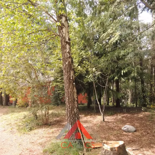 Casa Principal Con 3 Cabañas A 5 Minutos Del Centro De Pucon - Imagen 7