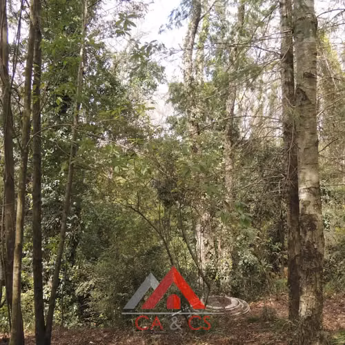 Casa Principal Con 3 Cabañas A 5 Minutos Del Centro De Pucon - Imagen 15