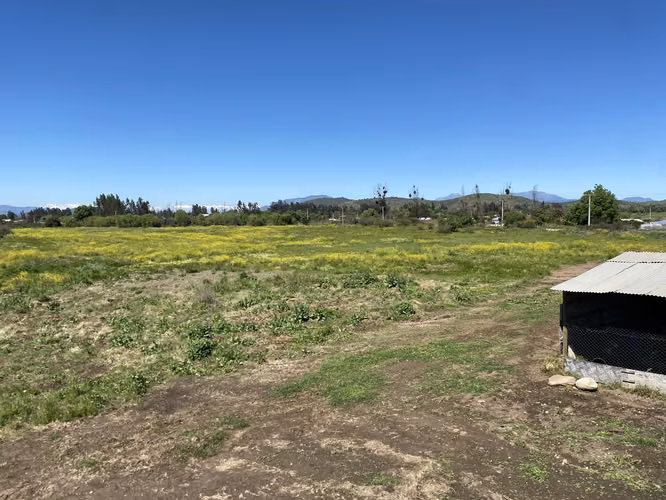 VENDE CASA 4 DORM, 3 BAÑOS, TERRENO 6.0 HA, MELIPILLA