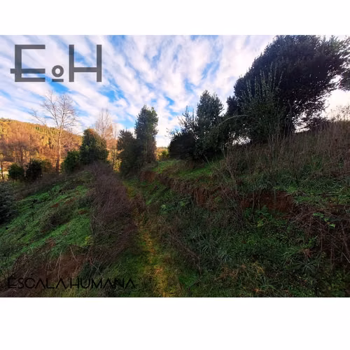 Venta lotes sector semi urbano cercano a Chaimávida