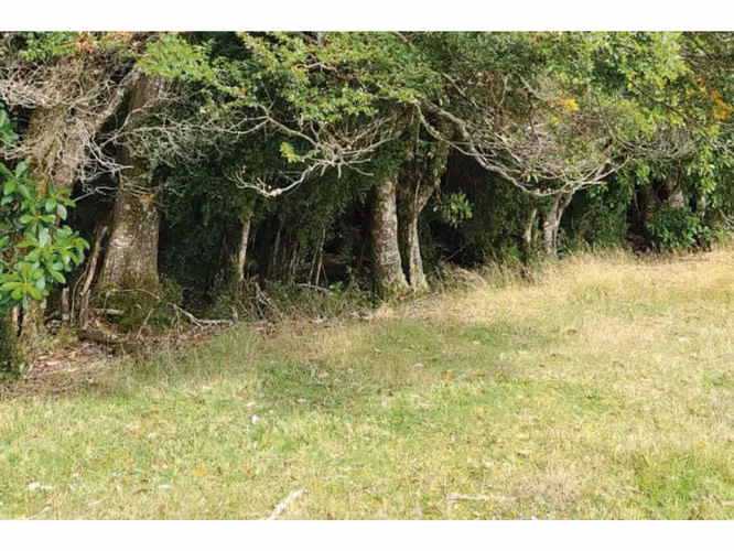 Oportunidad Única en Chiloé: Lote 1 en Laguna Quemchi con Acceso a Laguna Privada.