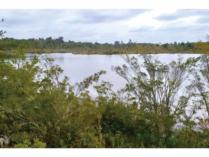 Oportunidad Única en Chiloé: Lote 1 en Laguna Quemchi con Acceso a Laguna Privada.