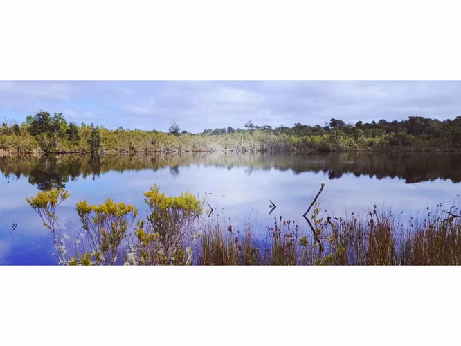 Oportunidad Única en Chiloé: Lote 1 en Laguna Quemchi con Acceso a Laguna Privada.