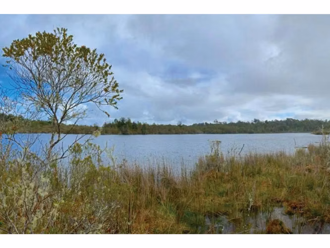 Oportunidad Única en Chiloé: Lote 1 en Laguna Quemchi con Acceso a Laguna Privada.