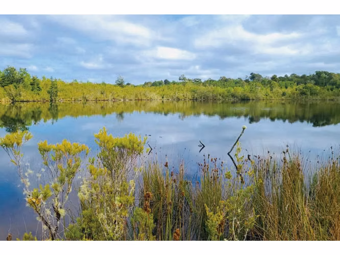 Oportunidad Única en Chiloé: Lote 1 en Laguna Quemchi con Acceso a Laguna Privada.