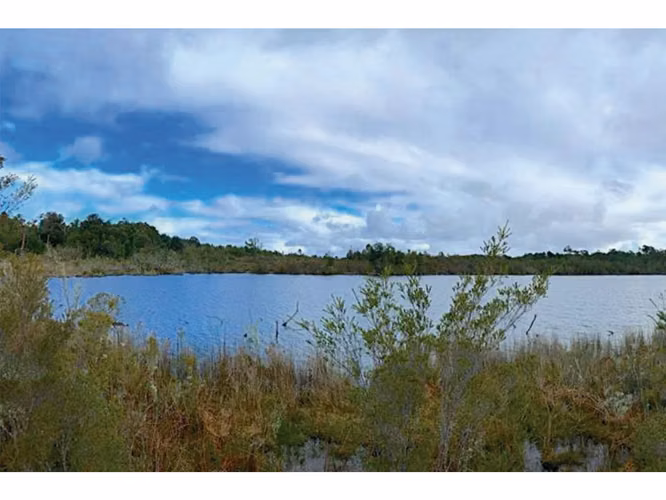 Oportunidad Única en Chiloé: Lote 1 en Laguna Quemchi con Acceso a Laguna Privada.