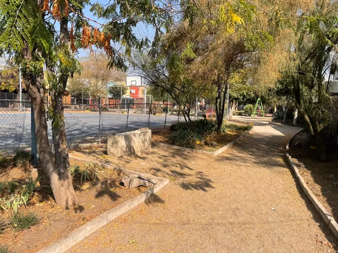 Vivienda con Local Comercial - Imagen 17